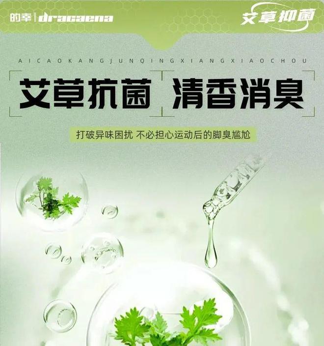 垫全方位呵护你的运动健康球王会app草本抗菌鞋