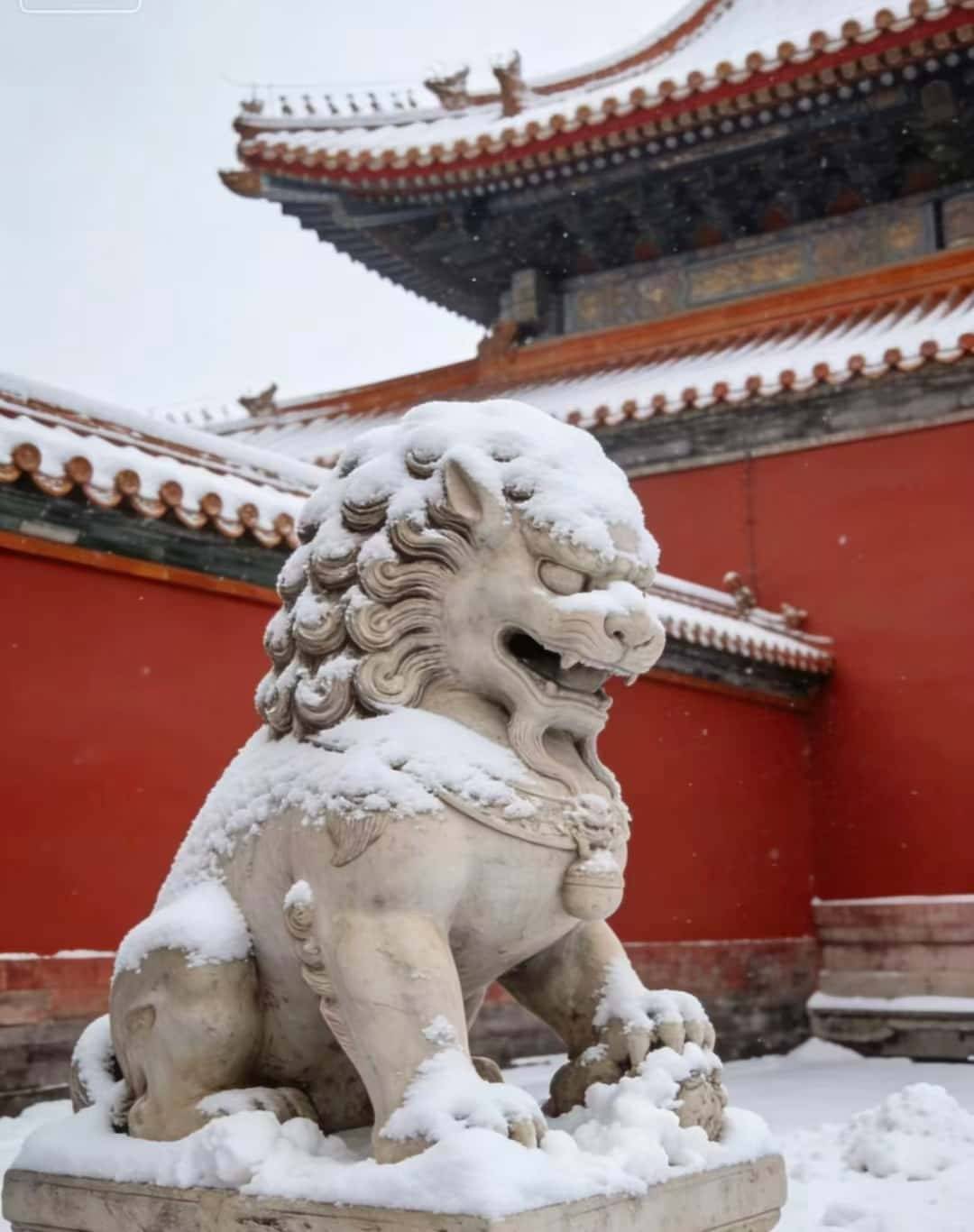 地正规无购物理性种草避坑指南+高性价比精心整理！福州家庭北京